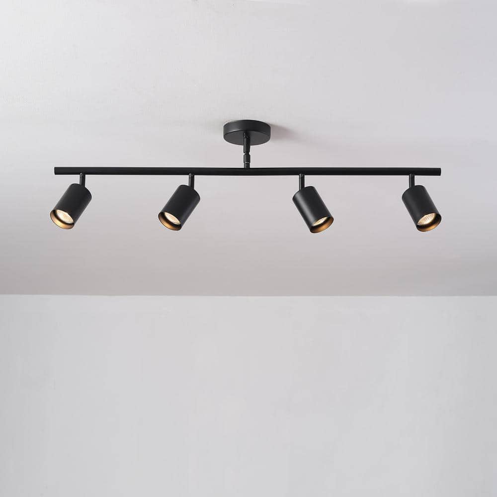 Willard Matte Black 4-Light Adjustable Track Lighting