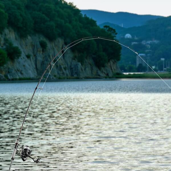 VEVOR Rod and Fishing Reel Combo, IM6 Carbon Fiber Spinning Rod and Reel Combo, Bass Fishing Pole with 6.5 ft. 2-Piece Rods VEVOR Rod and Fishing Reel Combo, IM6 Carbon Fiber Spinning Rod and Reel Combo, Bass Fishing Pole with 6.5 ft. 2-Piece Rods
