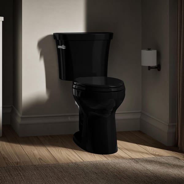 Black Toilet Bowl
