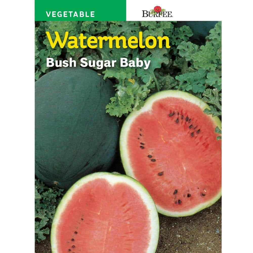 burpee-bush-sugar-baby-watermelon-seed-64872-the-home-depot