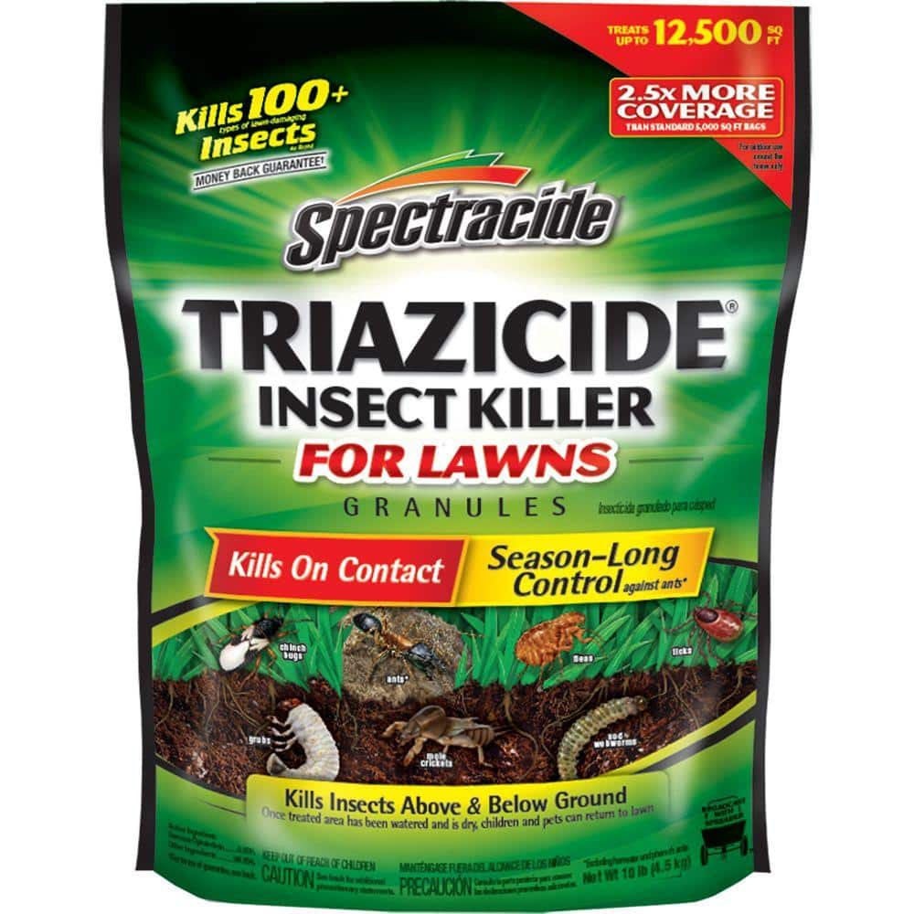 Safer Brand Safer Home Indoor and Outdoor Insect Killer Granules  Diatomaceous Earth for Ants, Bedbugs, Roaches, Fleas SH5168 - The Home Depot