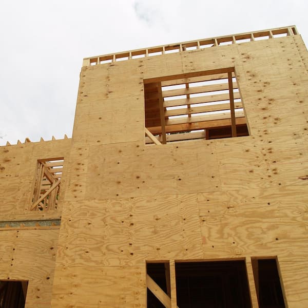 ♡ 　no2 Plytanium 23/32 in. x 4 ft. x 8 ft. RTD Sheathing Syp 157946