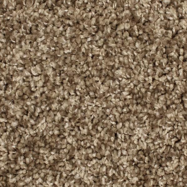 Home Decorators Collection Pioneer - Lasso - Brown 73.5 oz. SD Polyester Texture Installed Carpet