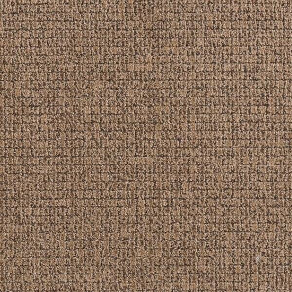 TrafficMaster Carpet Sample - Baron - Color Motley Pattern 8 in. x 8 in.