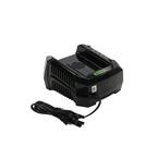 PRO 60-Volt 6 Amp Rapid Battery Charger