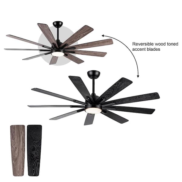 Coastal 62 in. Smart Indoor Matte Black Ceiling Fan with Light, Reversible Plywood Blades and Remote Control