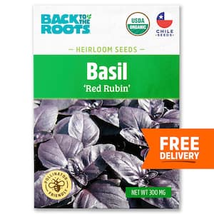 Organic Red Rubin Basil Seed (1-Pack)