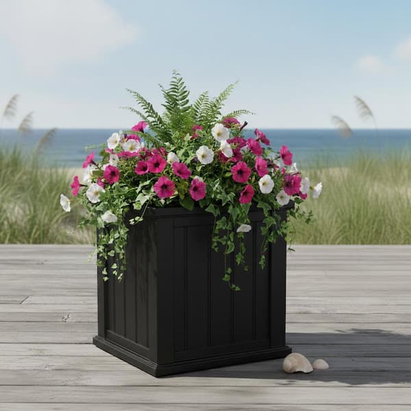 Cape Cod 20 in Square Self-Watering Black Polyethylene Planter