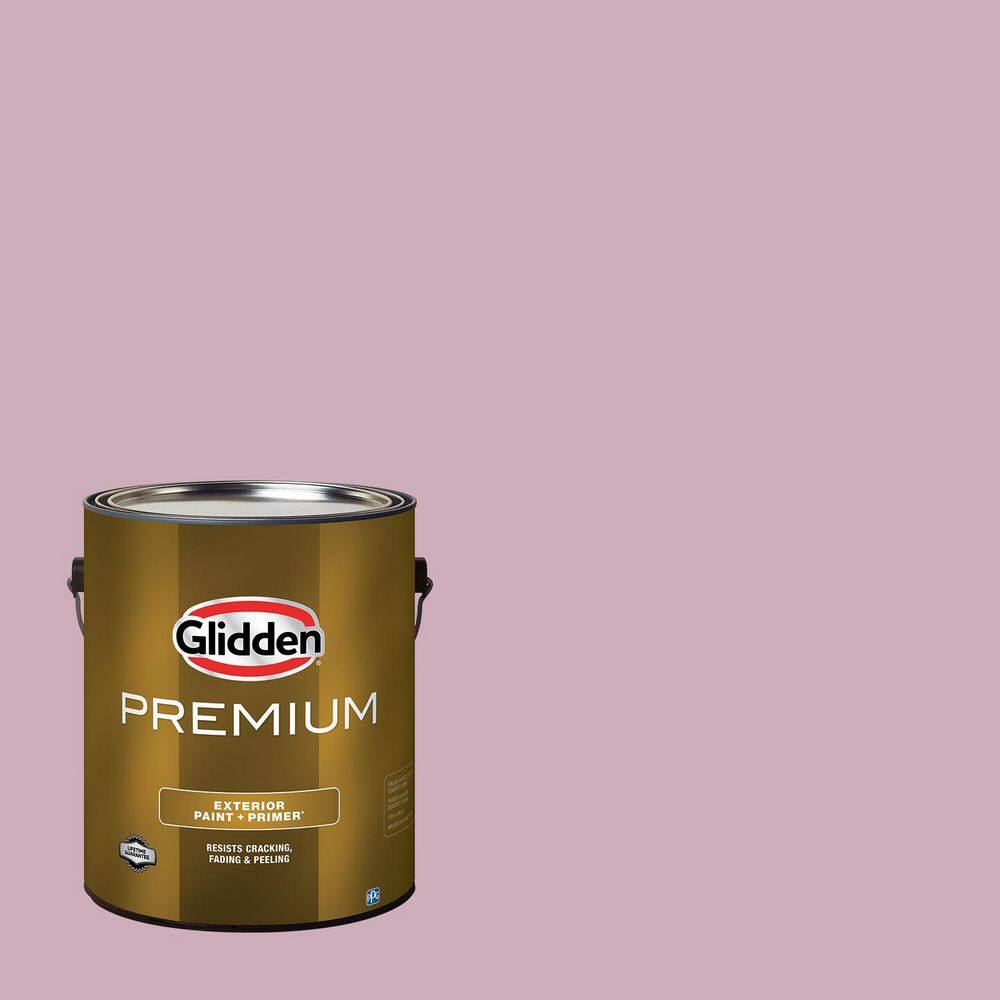 1 gal. PPG1045-4 Pink Potion Semi-Gloss Exterior Latex Paint price history on PriceWatchPro