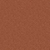 TrafficMaster Watercolors I - Briar Patch - Brown 28.8 oz. Polyester  Texture Installed Carpet HDD9547792 - The Home Depot