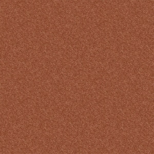 Watercolors I - Copper - Orange 28.8 oz. Polyester Texture Installed Carpet