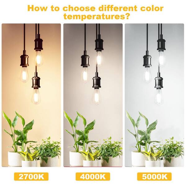 黒　サリー ZXXC Clear Glass Style 60-Watt Equivalent ST58 Dimmable