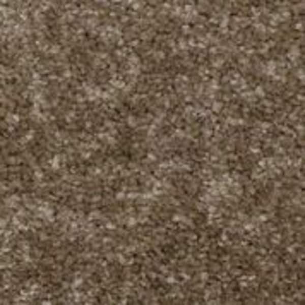 Home Decorators Collection Sycamore II - Quince - Brown 58 oz. SD Polyester Texture Installed Carpet