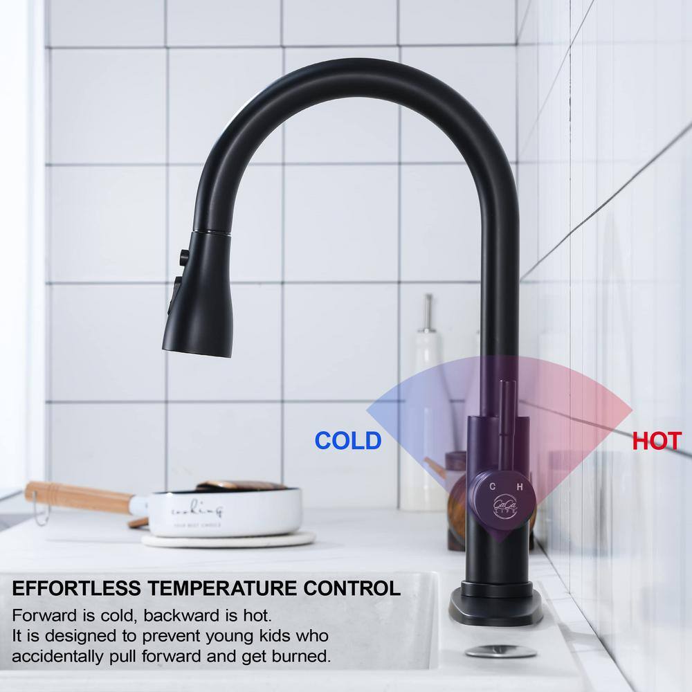 Matte Black Stainless Steel High-Arc Kitchen Faucet with Pull-out Spray