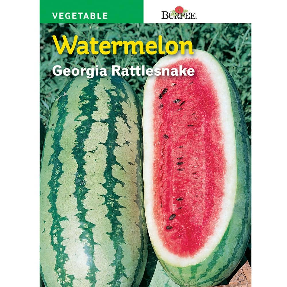 Burpee HL Watermelon Rattlesnake 51753 The Home Depot