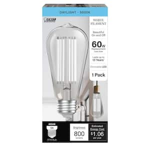 60-Watt Equivalent ST19 Dimmable White Filament Clear Glass E26 Vintage Edison LED Light Bulb, Daylight 5000K