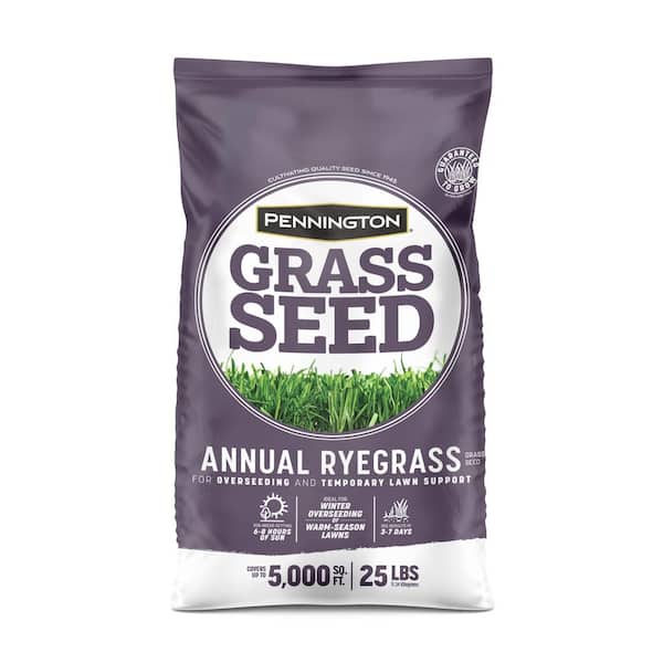Pennington Annual Ryegrass 25 lb. 5,000 sq. ft. Grass Seed