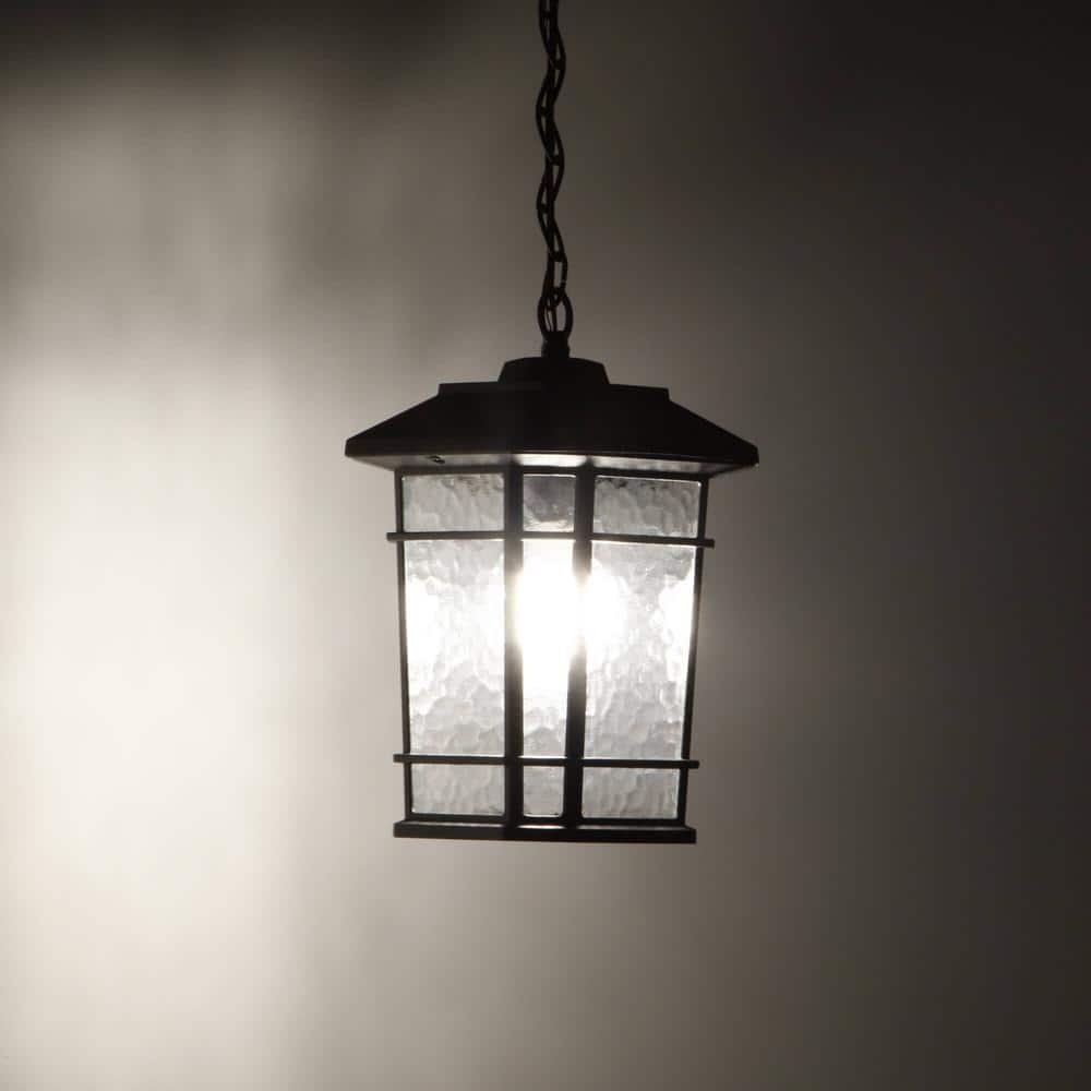 Williams Matte Black LED Outdoor Hanging Lantern with Clear Glass