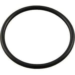 Lid O-Ring Replacement Part for Select Pool Pumps