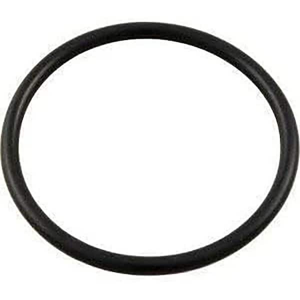 PENTAIR Lid O-Ring Replacement Part for Select Pool Pumps