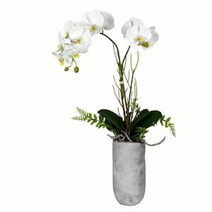 17 in. White Artificial Butterfly Orchid Floral Arrangement in Pot