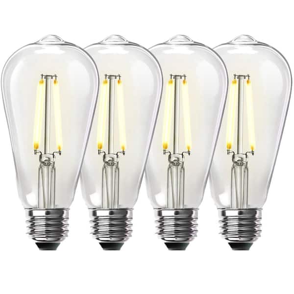 Inademen huurder stikstof Feit Electric 60-Watt Equivalent ST19 Dimmable Straight Filament Clear  Glass Vintage Edison LED Light Bulb, Warm White (4-Pack) ST19/CL/LED/HDRP/4  - The Home Depot