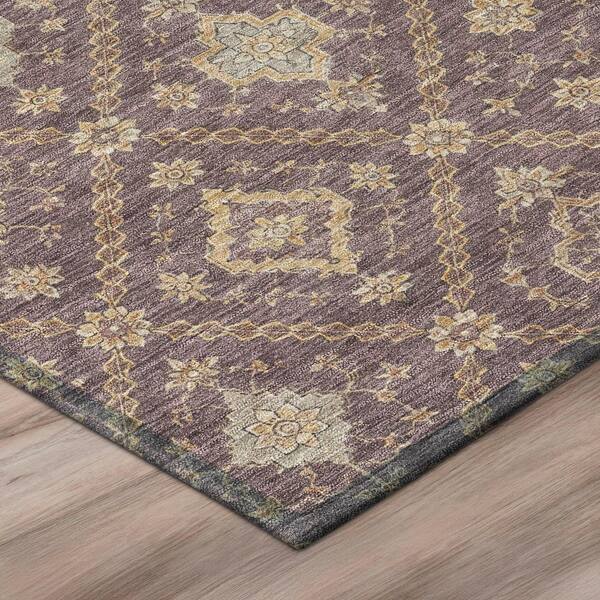 Chantille Machine Washable Indoor/Outdoor Abstract ACN3131 Plum 2 ft. x 3 ft. Accent Rug