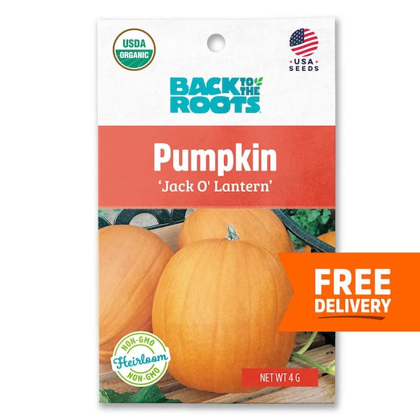 Back to the Roots Organic Jack O'lantern Pumpkin Seed (1-Pack)