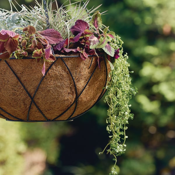 Vigoro HydroSave Metal Premium Hanging Planter Basket with Coco Liner (16  in. L x 16 in. W x 6.5 in. H) HD750042-001