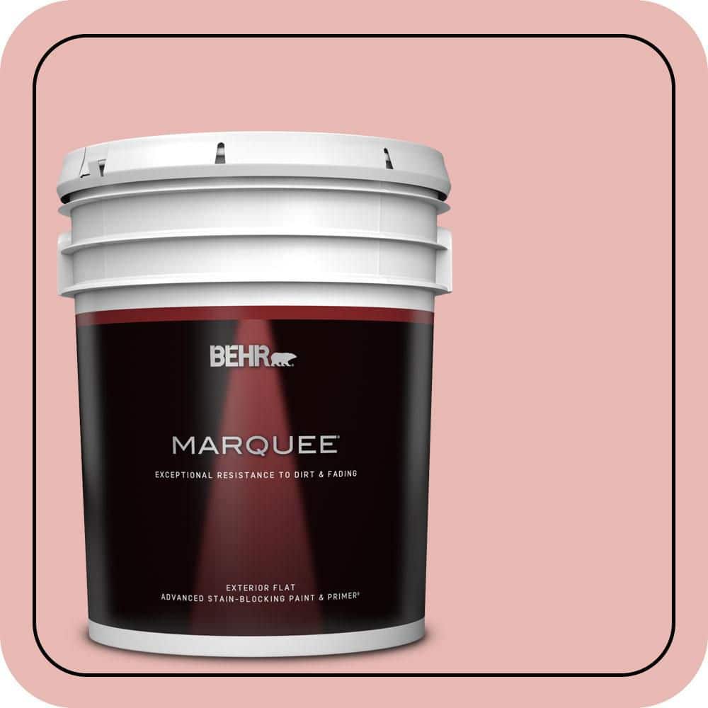 5 gal. #MQ4-04 Noble Blush Flat Exterior Paint & Primer price history on PriceWatchPro