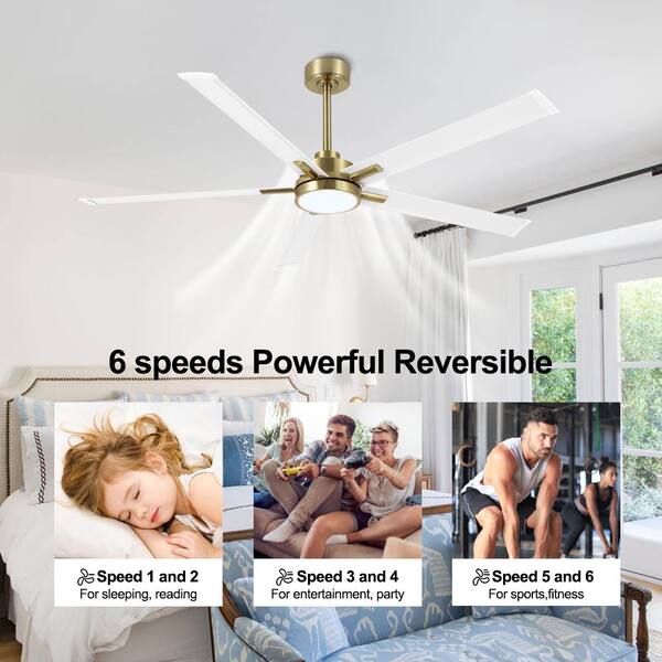 MLiAN 60 in. (5 ft.) 5 Aluminium Blades Indoor Smart Ceiling Fan