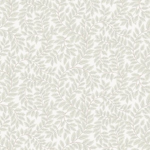 A-Street Prints Turi Light Grey Twining Vines Wallpaper Sample 4143 ...