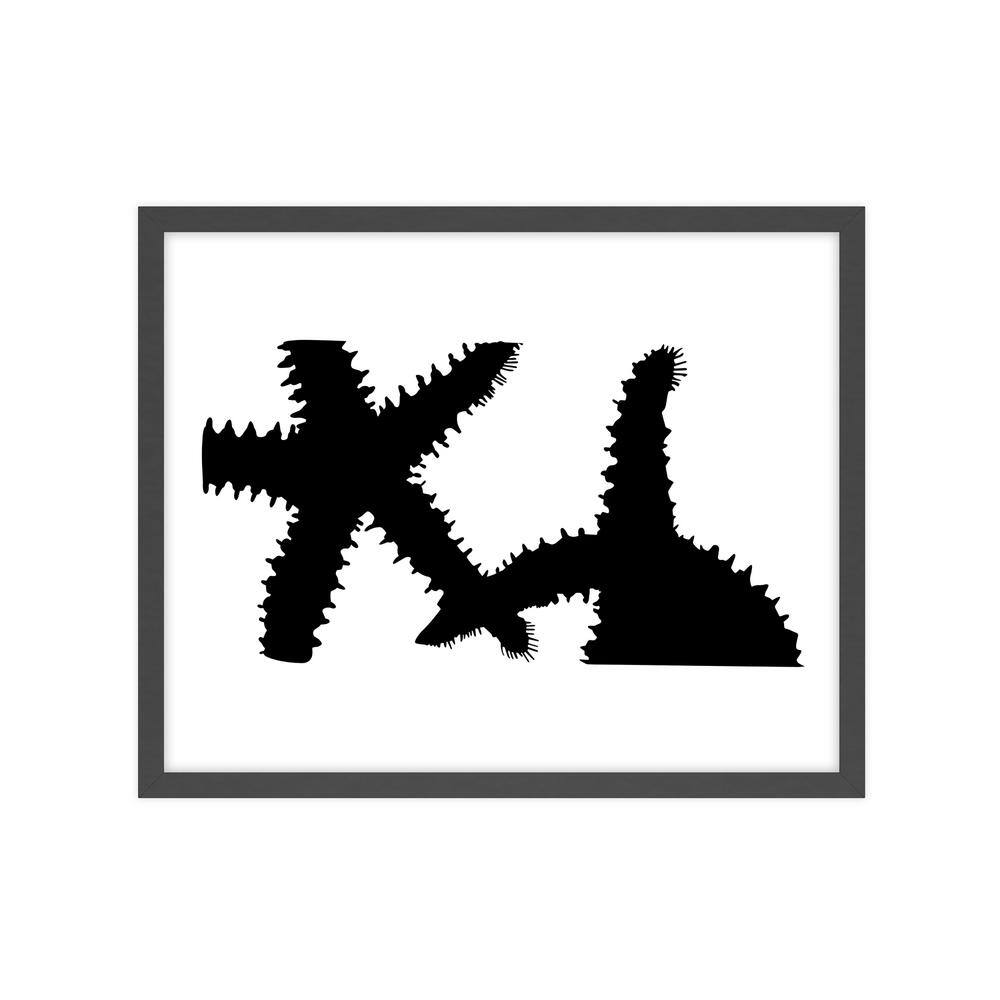 Black and White Nature Series Framed Abstract Art Print 22 in. x 18 in