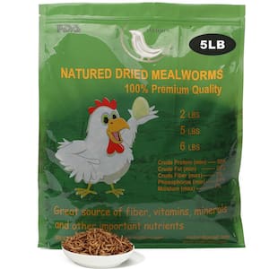 5 lbs. Non-GMO Dried Mealworms for Wild Bird Chicken Fish, High-Protein, Large Meal Worms
