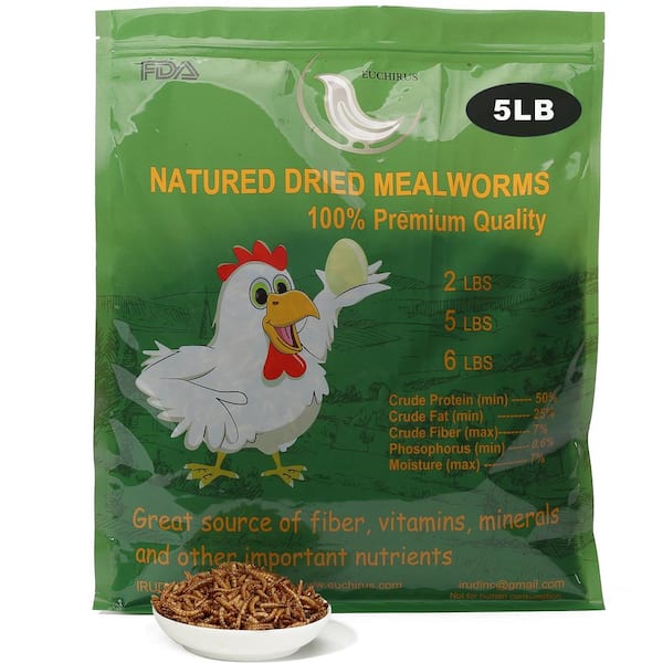 Euchirus 5 lbs. Non-GMO Dried Mealworms for Wild Bird Chicken Fish, High-Protein, Large Meal Worms