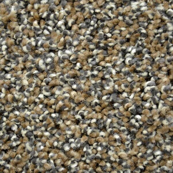 Lifeproof Carpet Sample - True Classic II - Color Larimore Texture 8 in. x 8 in.