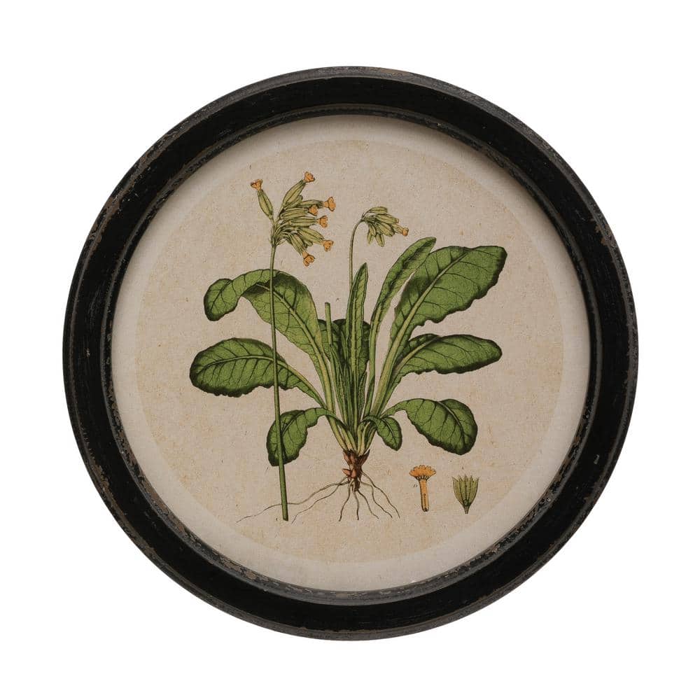 Set of 4 Vintage Botanical Print Wood Framed Wall Art