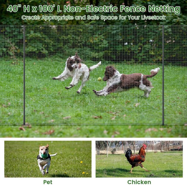 Garden Fencing 48 Inch High Non Electric Fence Netting For