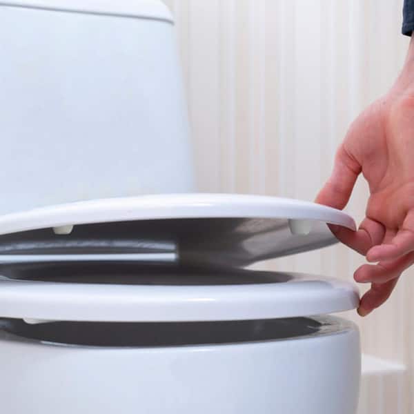 Danco 10062 Toilet Seat Bumper Kit 4-Piece by Danco Inc. [並行輸入品] DANCO 4-Piece Toilet Seat Bumper Kit 10062 - The Home Depot