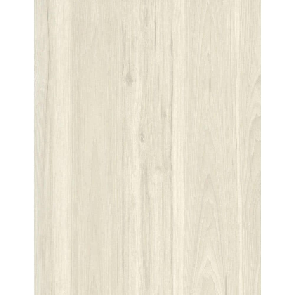 Take Home Sample-GlueCore Essentials Boone Waterproof Glue-Down Luxury Vinyl Plank Flooring-3 in. W x 6 in. L price history on PriceWatchPro