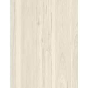 Take Home Sample-GlueCore Essentials Boone Waterproof Glue-Down Luxury Vinyl Plank Flooring-3 in. W x 6 in. L