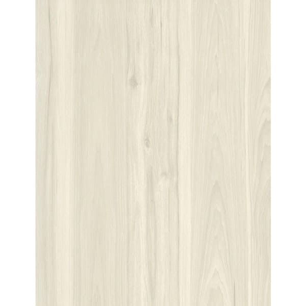 Take Home Sample-GlueCore Essentials Boone Waterproof Glue-Down Luxury Vinyl Plank Flooring-3 in. W x 6 in. L