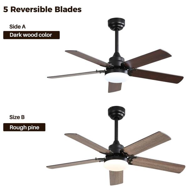 Amazon.com: EZ-CHILL 12” Cradle Floor Fan, 3 Speed, High