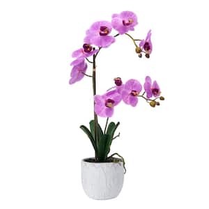 22 in. Orchid Artificial Greenery in Pot, Dark Pink