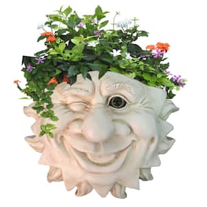 13 in. Ant. White Mr. Sun Shine Muggly Tree Face Tree Wall Statue Planter