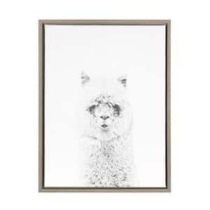 24 in. x 18 in. "Hairy Alpaca" by Tai Prints Framed Canvas Wall Art