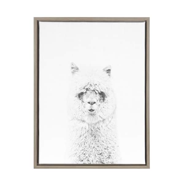 Kate and Laurel 24 in. x 18 in. "Hairy Alpaca" by Tai Prints Framed Canvas Wall Art