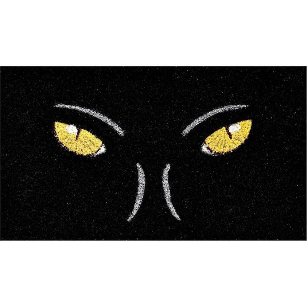 Multi-Colored 29 in. x 17 in. Coir Outdoor Door Mat price history on PriceWatchPro