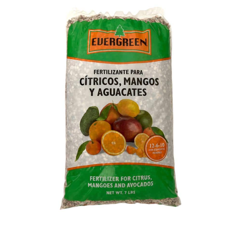 evergreen-plant-food-