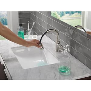 Trinsic Single Handle Single Hole Bathroom Faucet with High-Arc Pull-Down Spout in Stainless
